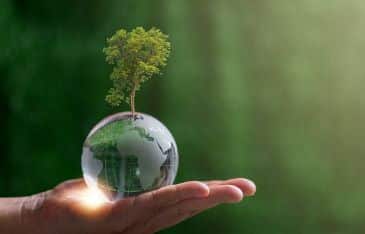 Close up of hand holding crystal globe with tree on green blur nature background